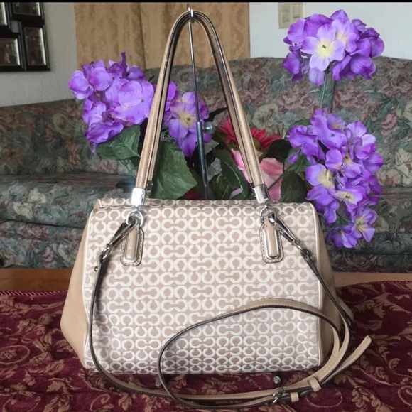 Coach - Picture 2 of 9